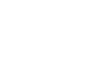 APEX everest logo in white